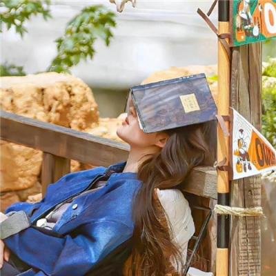 建筑师的挑战:斯特拉斯堡大教堂