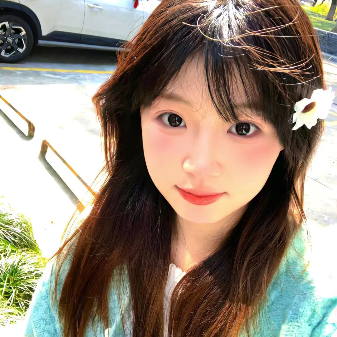 再见橄榄树